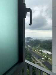 Normanton Park (D5), Apartment #557525931